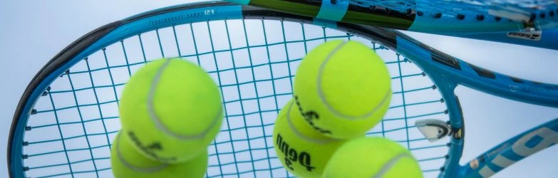 Sportwetten Österreich